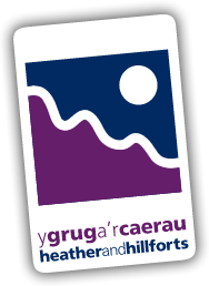 tilted_logo.png tilted_logo.png